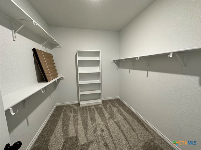 walk in closet featuring dark carpet