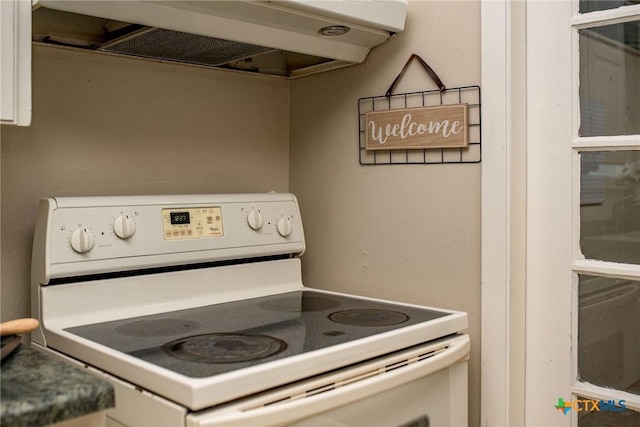 interior details featuring white electric stove and extractor fan