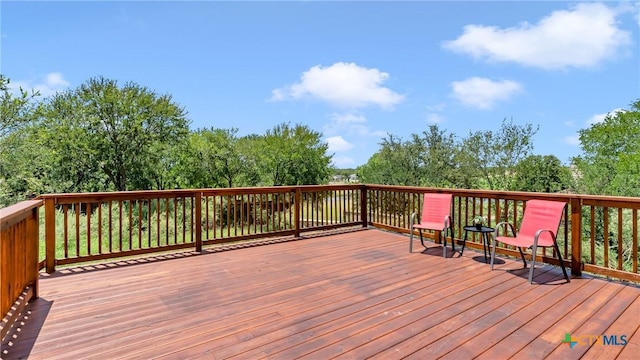 105 Chesterfield Dr, Kingsland, TX 78639 - photo 42