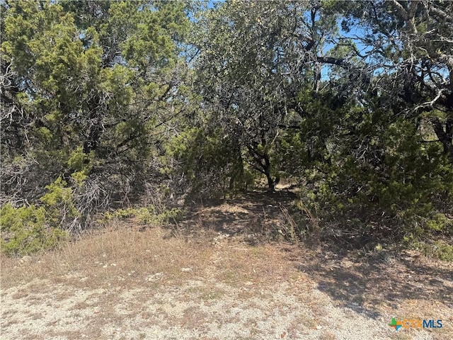 855 Golden Eagle Loop, Canyon Lake TX, 78133 land for sale