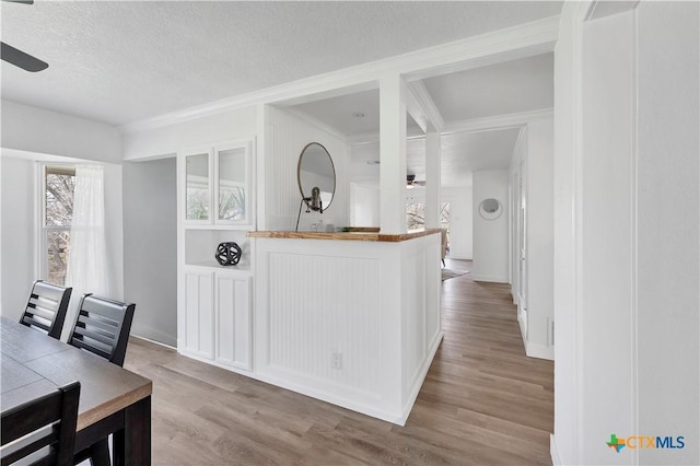 dining room with ornamental molding, a textured ceiling, ceiling fan, and wood finished floors