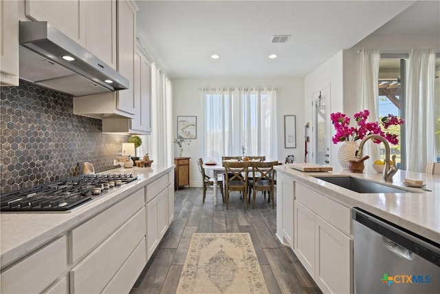 kitchen featuring ventilation hood, white cabinetry, sink, and appliances with stainless steel finishes