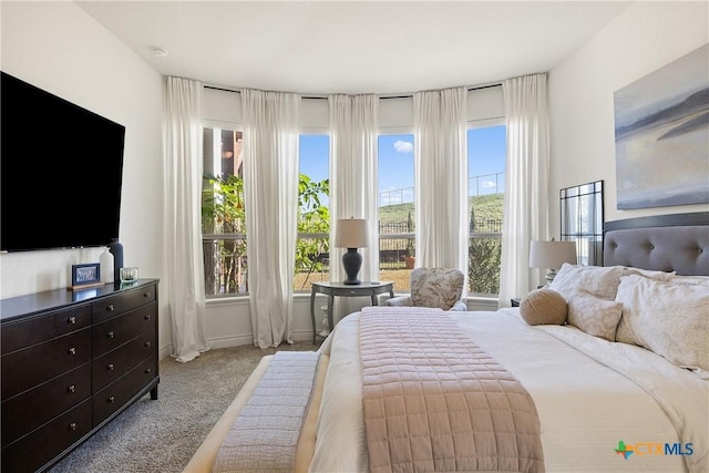 bedroom with light colored carpet