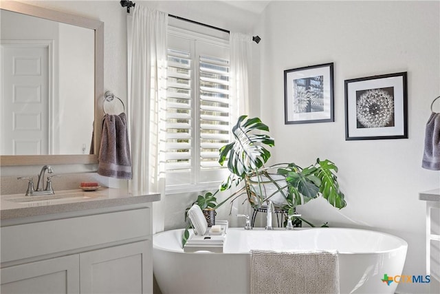 bathroom with vanity and a bathing tub