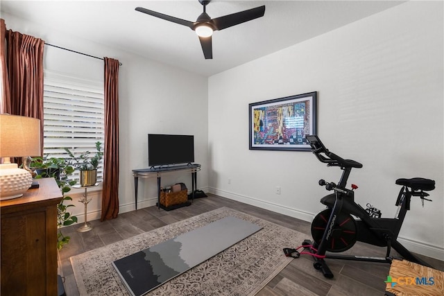 exercise area featuring ceiling fan and hardwood / wood-style floors