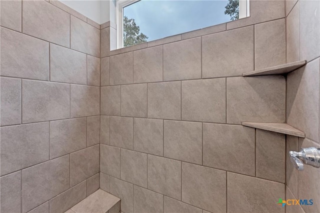 interior details with tiled shower