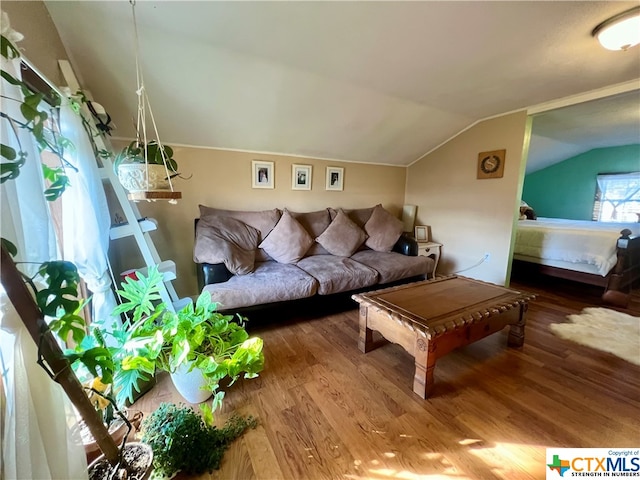 living room featuring wood-type flooring and vaulted ceiling