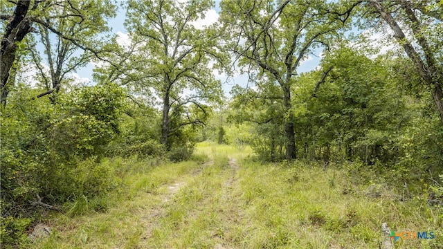 418-B County Road 405, Buckholts TX, 76518 land for sale