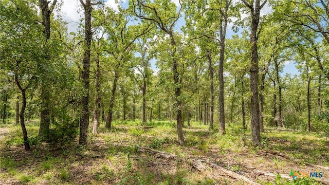 418-B County Road 405, Buckholts, TX 76518