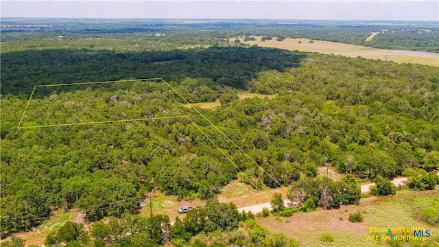 418-B County Road 405, Buckholts, TX 76518