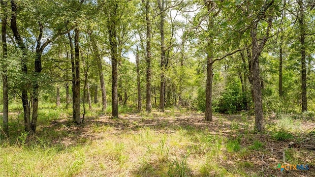 418-B County Road 405, Buckholts, TX 76518