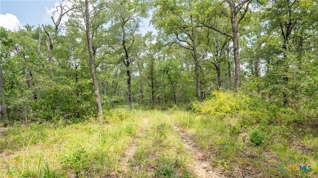 418-B County Road 405, Buckholts, TX 76518