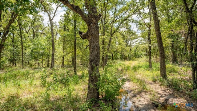 418-B County Road 405, Buckholts, TX 76518
