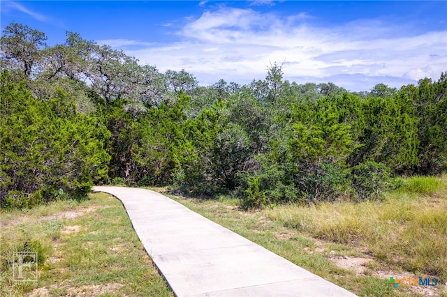 5716 Copper Frst, New Braunfels, TX 78132 - photo 15