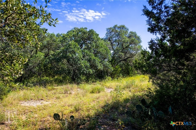 5716 Copper Frst, New Braunfels, TX 78132 - photo 30