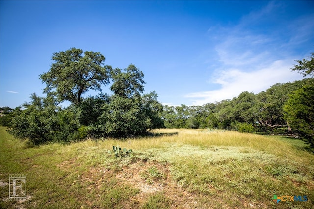 5716 Copper Frst, New Braunfels, TX 78132 - photo 9