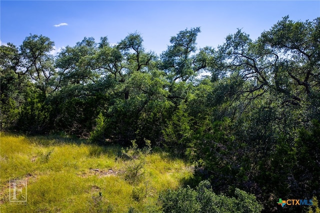 5716 Copper Frst, New Braunfels, TX 78132 - photo 31