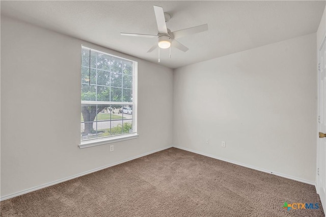 3037 Rain Dance Loop, Harker Heights, TX 76548 - unfurnished room with healthy amount of natural light, carpet, a ceiling fan, and baseboards