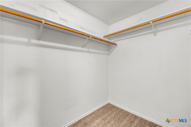 3037 Rain Dance Loop, Harker Heights, TX 76548 - walk in closet with carpet floors