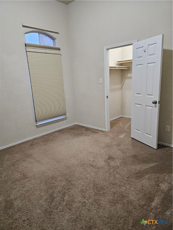 unfurnished bedroom featuring a closet, a spacious closet, and carpet floors