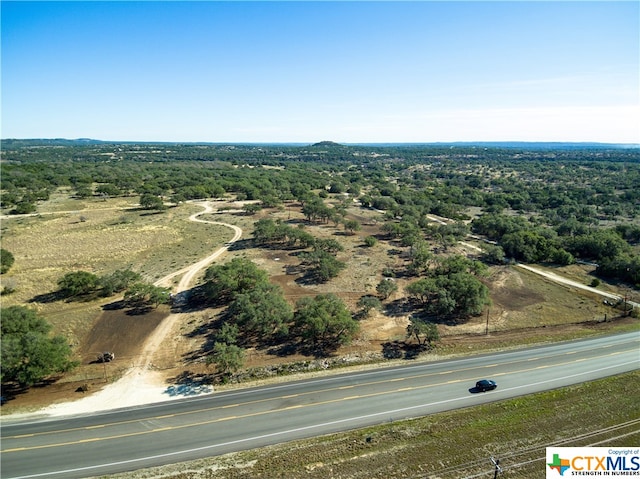 TBD 281 Highway, Blanco TX, 78606 land for sale