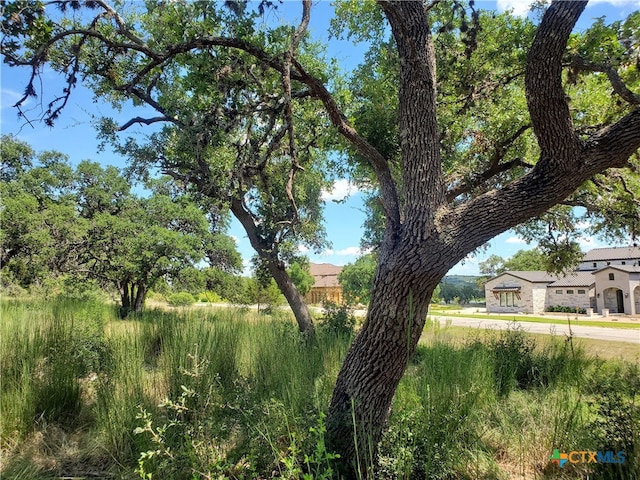 Listing photo 3 for 531 Arthur Ct, Spring Branch TX 78070