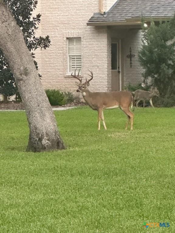 313 Treasure Oaks Rd, Inez, TX 77968 - view of green lawn