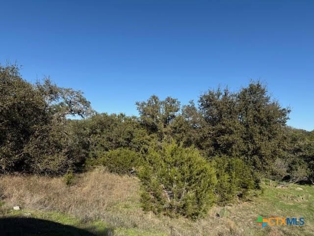206 Falling Hls, New Braunfels, TX 78132 - photo 4