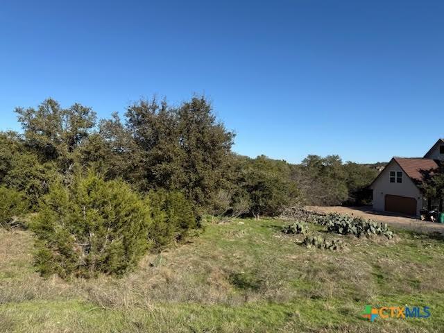 206 Falling Hls, New Braunfels, TX 78132 - photo 5