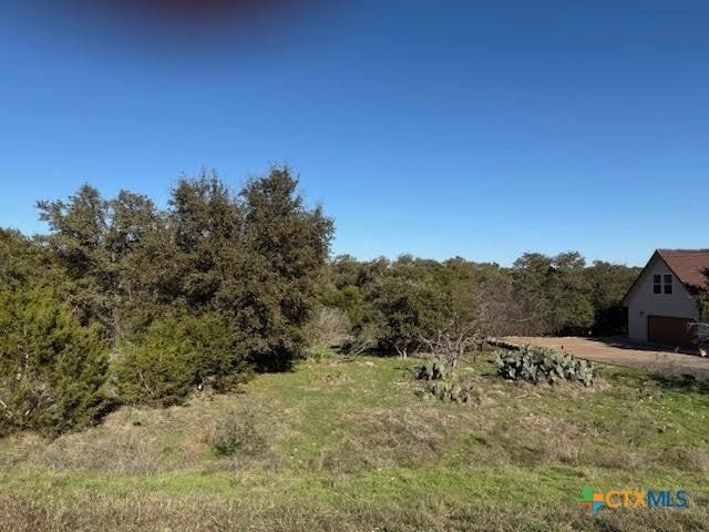 206 Falling Hls, New Braunfels, TX 78132 - photo 1
