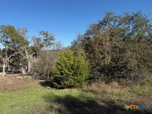 Listing photo 2 for 206 Falling Hls, New Braunfels TX 78132