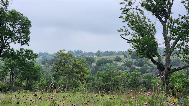 Listing photo 2 for LOT48 Ridgeline Rd, Fredericksburg TX 78624