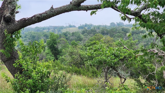 Listing photo 3 for LOT48 Ridgeline Rd, Fredericksburg TX 78624