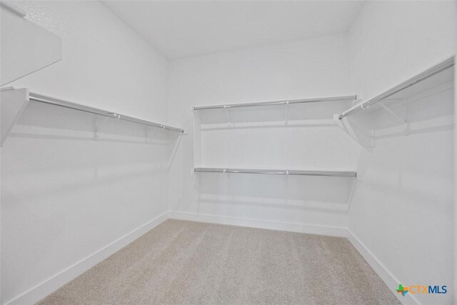 empty room featuring ceiling fan, light hardwood / wood-style flooring, and high vaulted ceiling