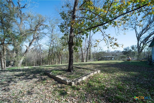 2021 Chinaberry Ln, New Braunfels, TX 78130 - view of yard