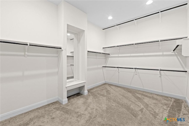 200 Tate Ln, Round Rock, TX 78626 - walk in closet featuring light carpet