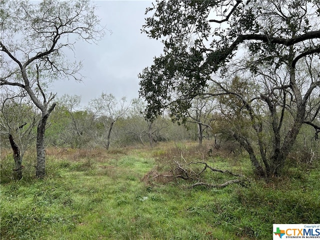 Listing photo 3 for TBD Fm 466, Seguin TX 78155