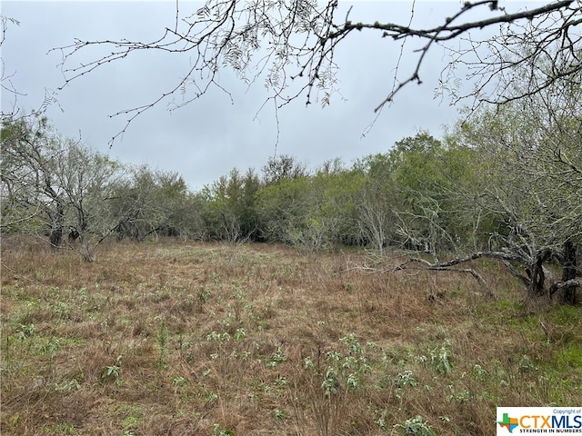 Listing photo 2 for TBD Fm 466, Seguin TX 78155