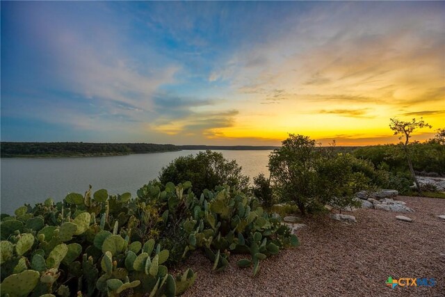 34 Spruce Dr, Belton, TX 76513 - water view