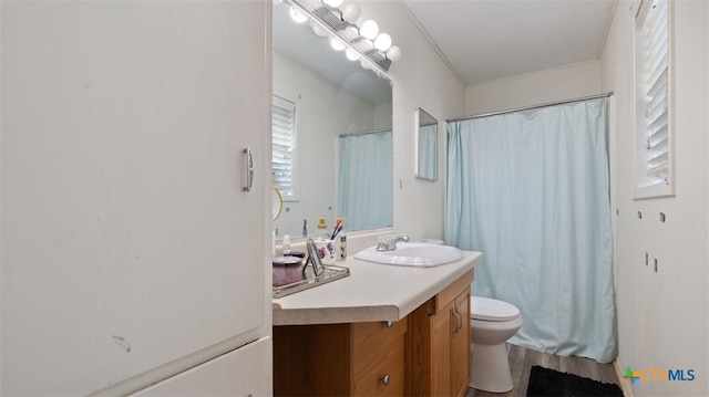 bathroom with vanity, wood-type flooring, and toilet