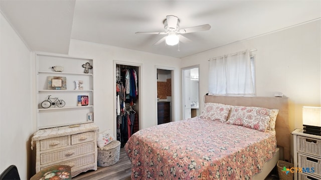 bedroom featuring hardwood / wood-style floors, a closet, a spacious closet, and ceiling fan