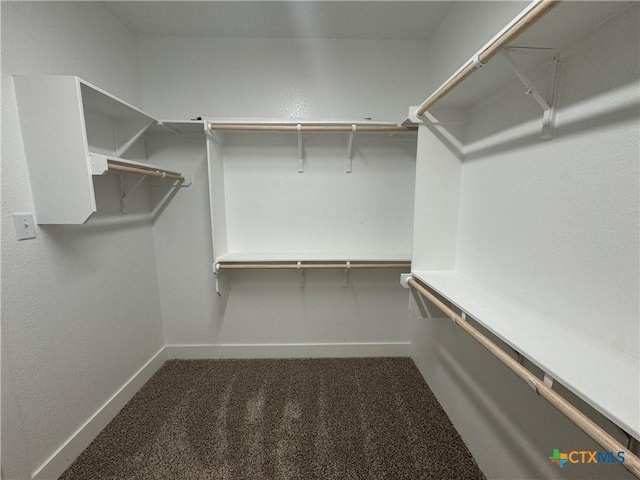 walk in closet with dark carpet