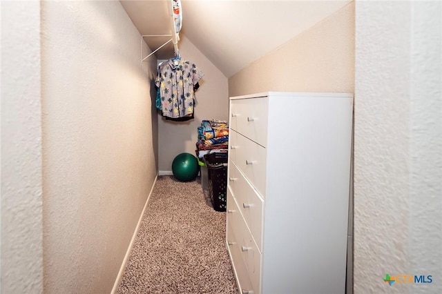 1104 Southridge, Salado, TX 76571 - corridor featuring vaulted ceiling, a textured wall, carpet flooring, and baseboards