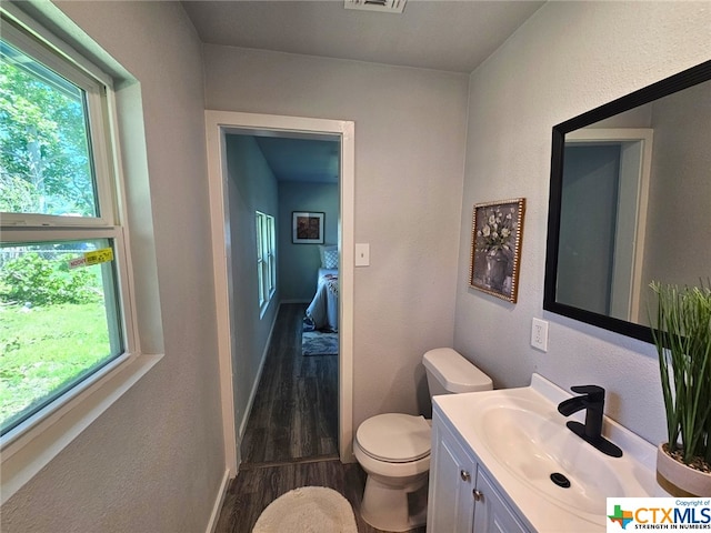 bathroom with vanity, toilet, and wood-type flooring