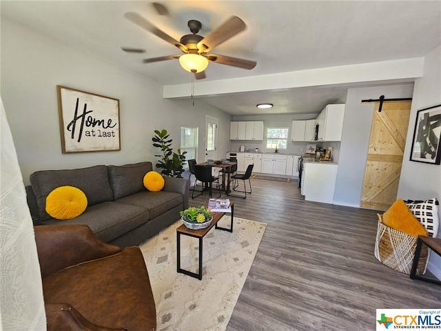 living room with beamed ceiling, dark hardwood / wood-style flooring, a barn door, and ceiling fan