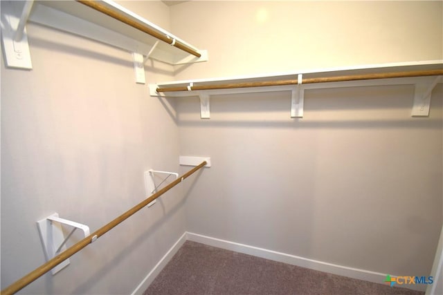 spacious closet with carpet