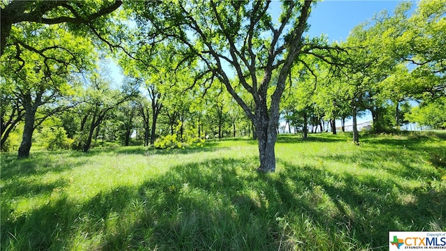 1062 County Road 101, Rogers, TX 76569 - photo 35