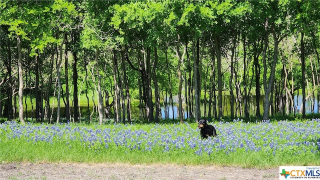 1062 County Road 101, Rogers, TX 76569 - photo 29