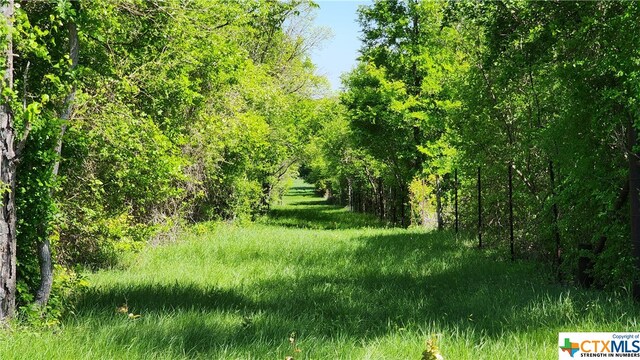 1062 County Road 101, Rogers, TX 76569 - photo 34