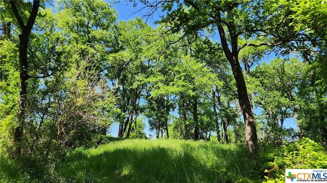1062 County Road 101, Rogers, TX 76569 - photo 36